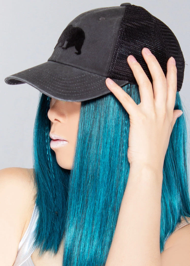 American Needle Accessories Cali Bear Raglan Hat 4 American Needle Accessories Cali Bear Raglan Hat