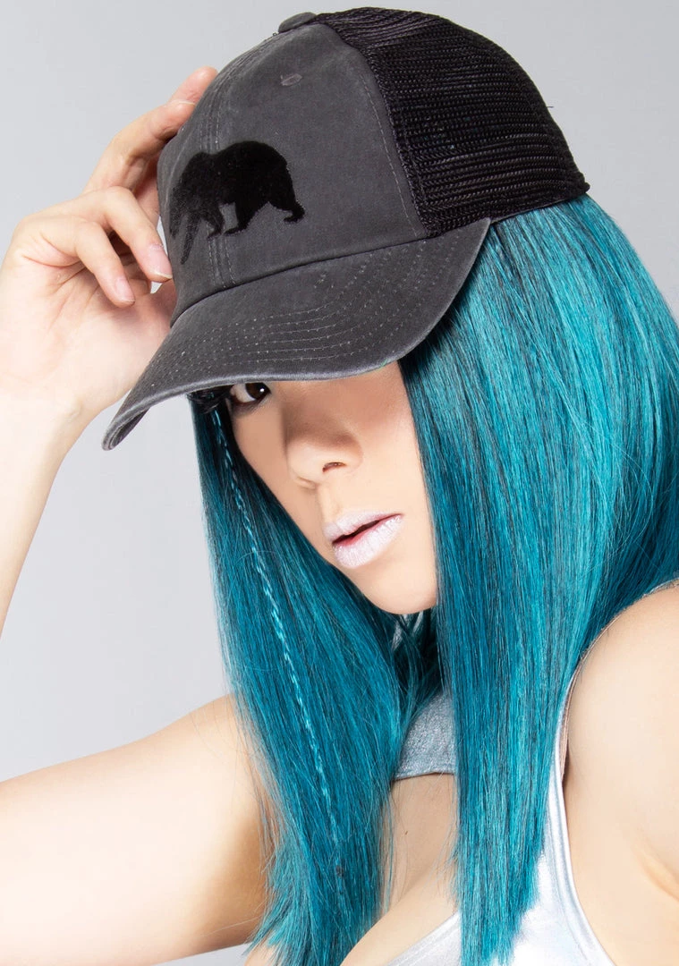 American Needle Accessories Cali Bear Raglan Hat 3 American Needle Accessories Cali Bear Raglan Hat