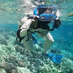 DiCAPac 5.1" Universal Waterproof Smartphone Case In Green 13 DiCAPac 5.1